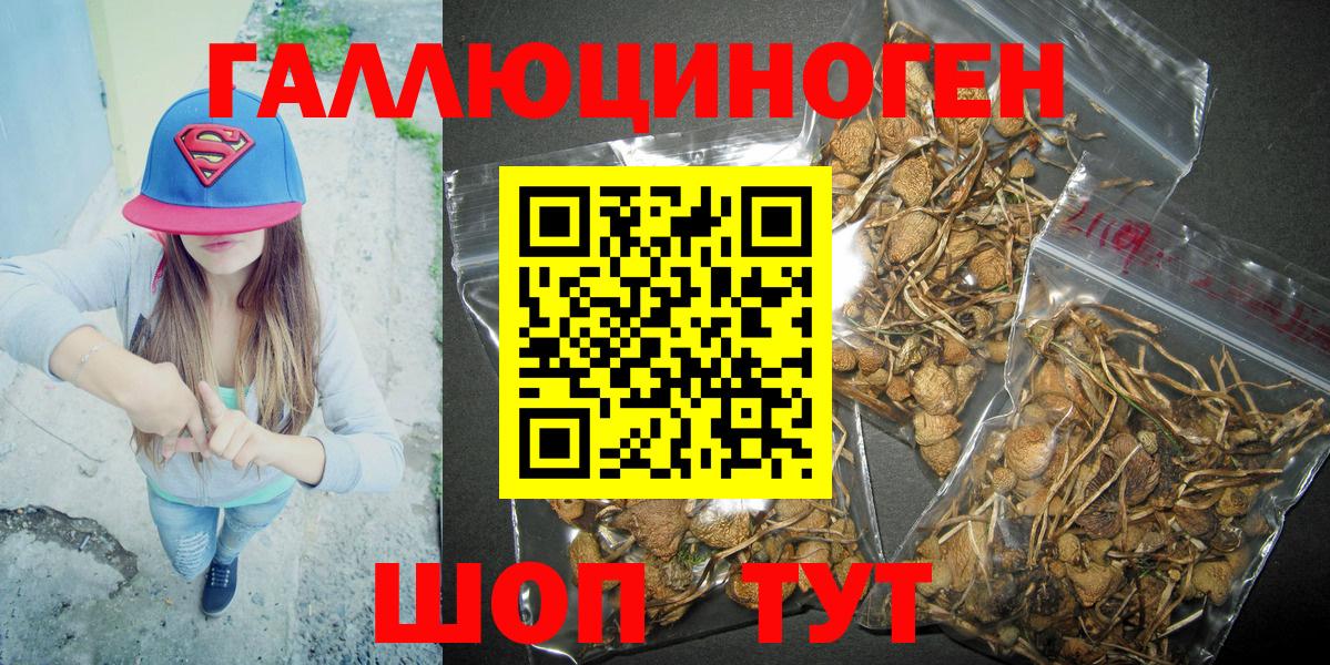 Галлюциногенные грибы ЛСД Елабуга