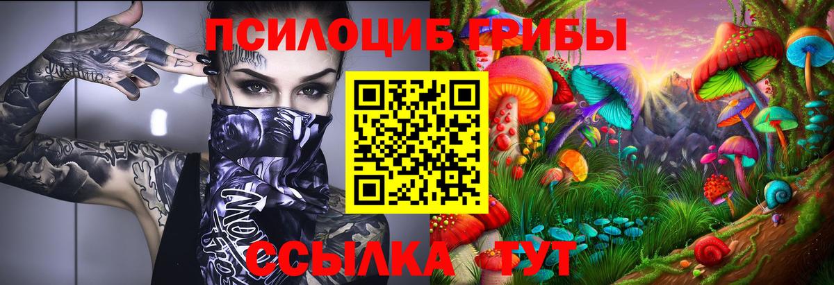 Псилоцибиновые грибы Psilocybine cubensis  Вход с VPN  Псилоцибиновые грибы Magic Shrooms  Елабуга 